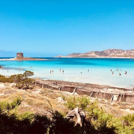 Villetta Indipendente Immersa Nel Verde Stintino Dış mekan fotoğraf