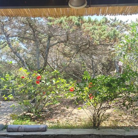 Villetta Indipendente Immersa Nel Verde Stintino Dış mekan fotoğraf