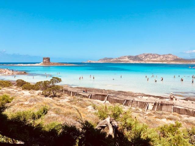Villetta Indipendente Immersa Nel Verde Stintino Dış mekan fotoğraf