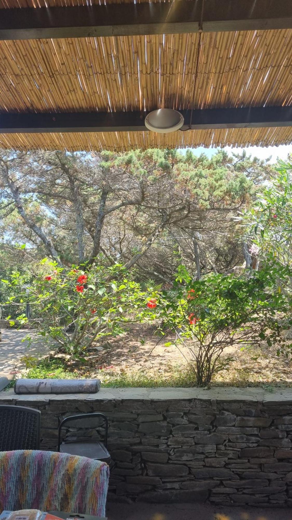Villetta Indipendente Immersa Nel Verde Stintino Dış mekan fotoğraf